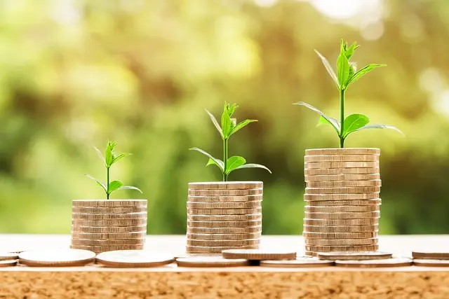Économiser facilement en faisant du tri chez soi