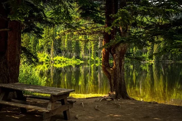 Comment économiser facilement lors de vos vacances