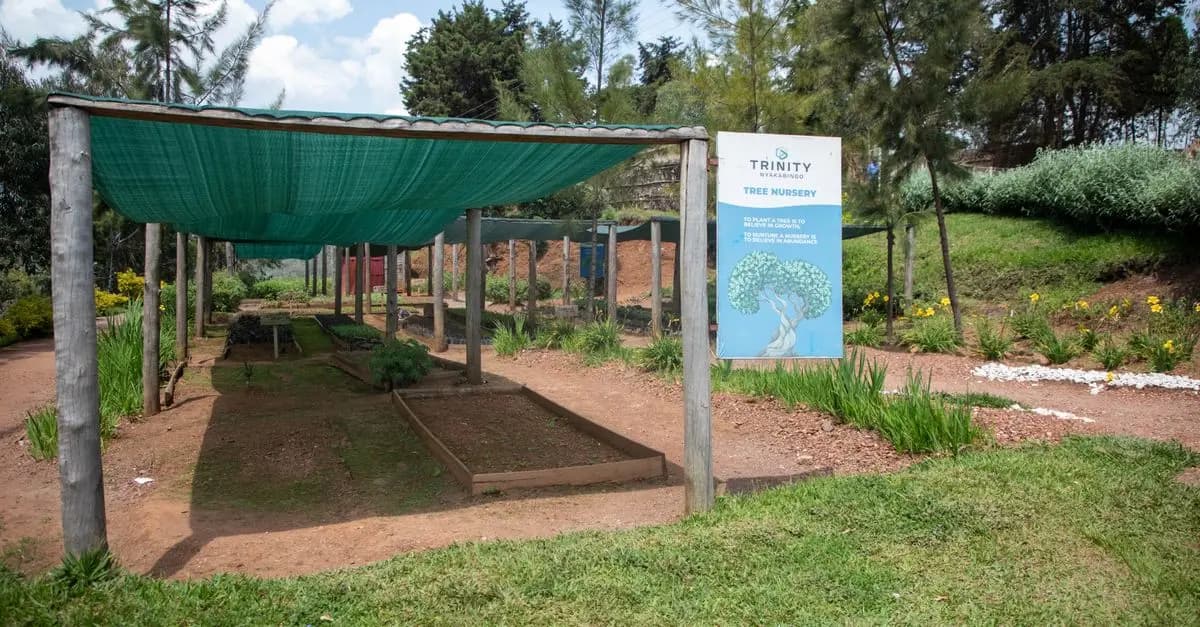 Comment économiser facilement en débutant un jardin pour les débutants
