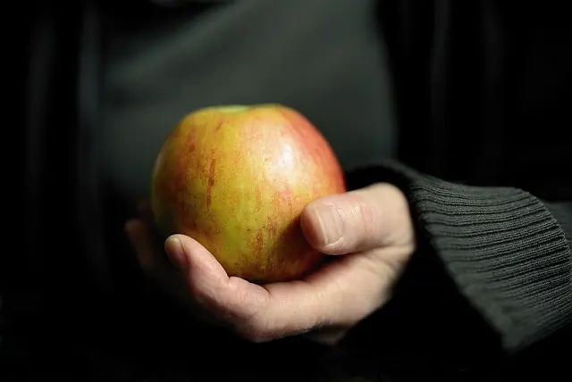 Économiser facilement avec des repas planifiés : 10 astuces