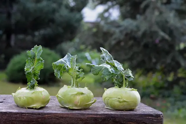 Comment économiser facilement grâce aux astuces de jardinage