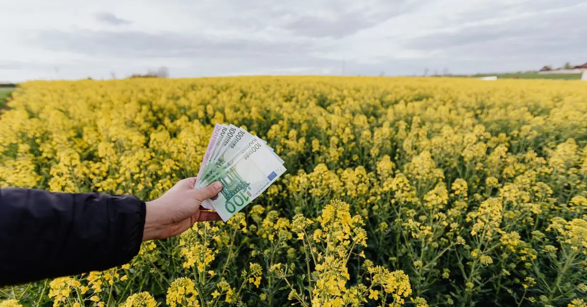 Réaliser des économies grâce au recyclage