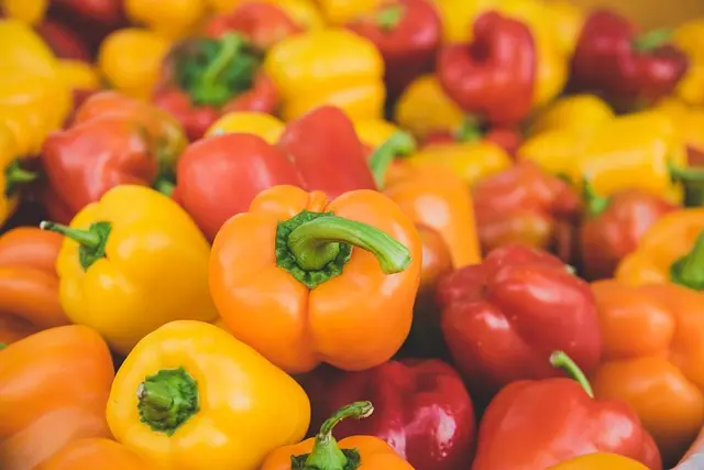 Comment Économiser Facilement sur Vos Courses Alimentaires
