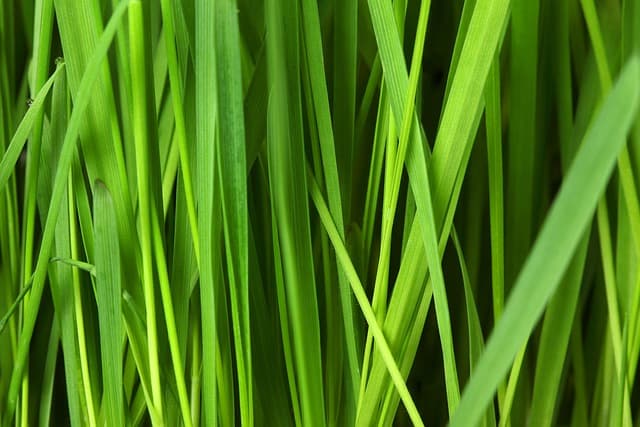Économiser facilement grâce aux astuces de recyclage